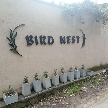 Bird Nest - Hanthana Guest House Kandy Exterior photo